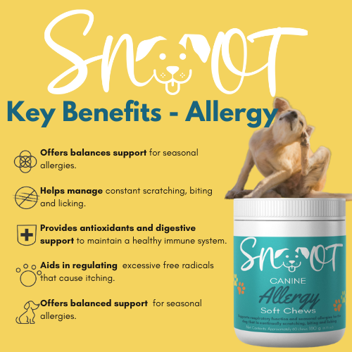Canine Allergy Chews- Relief for Itchy Skin & Seasonal Allergies