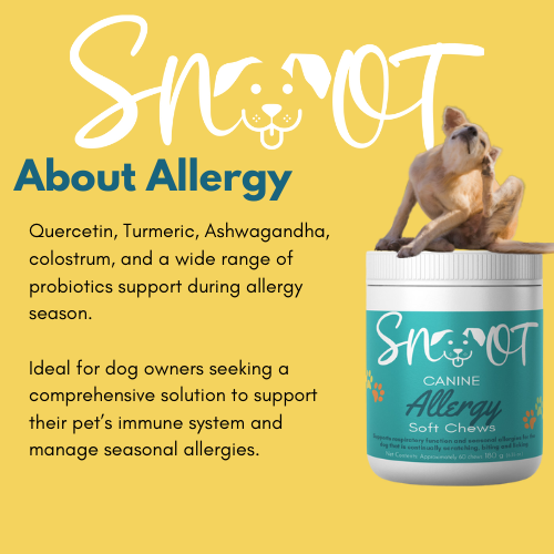 Canine Allergy Chews- Relief for Itchy Skin & Seasonal Allergies