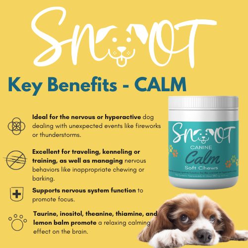 Calm Soft Chews-Stress & Anxiety Relief for Dogs