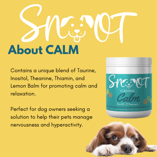 Calm Soft Chews-Stress & Anxiety Relief for Dogs