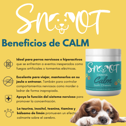 Calm Soft Chews-Stress & Anxiety Relief for Dogs