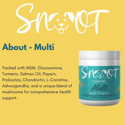 Multi Vitamin Soft Chews - Complete Daily Multivitamin for Dogs
