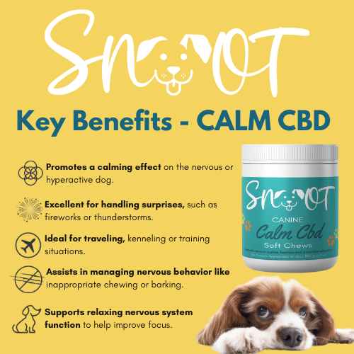 Calm CBD Chews - Natural Stress & Anxiety Relief for Dogs