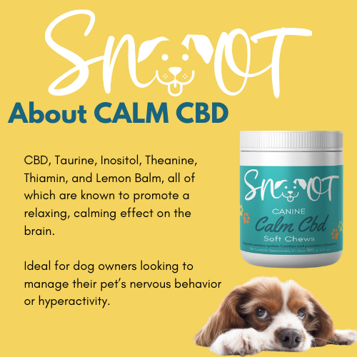 Calm CBD Chews - Natural Stress & Anxiety Relief for Dogs