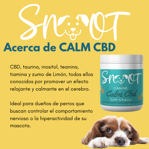 Calm CBD Chews - Natural Stress & Anxiety Relief for Dogs