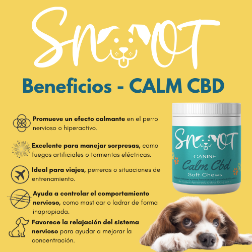 Calm CBD Chews - Natural Stress & Anxiety Relief for Dogs